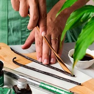 02-un-vanilla-fava-baunilha-brasil-de