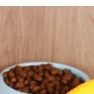 Brinquedo Galinha para Cachorro: Diversão e Saúde Bucal em 1 - imagem 2