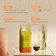 Café Orfeu Catucaí Grãos 100% Arabica 250g - imagem 1