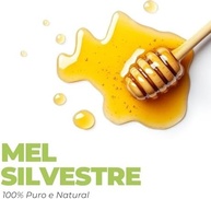 Bisnaga de Mel Silvestre Gold Medal Honey | 100% Natural, Delicioso e Acessível | Experimente o Sabor Autêntico do Brasil | Rico em Nutrientes e Puro, Sem Aditivos | 300g - imagem 1