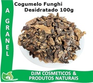 Cogumelo Funghi Seco Chileno Desidratado 100g - imagem 4
