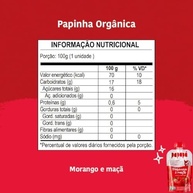 Kit 12 Papinha Orgânica Morango e Maçã Sem Açúcar 100g - Papapá - imagem 3