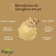Gengibre em pó 100% puro PREMIUM - 100g - imagem 5