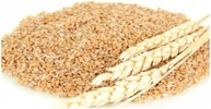 Gérmen de Trigo - Granel 100g (4) - imagem 1