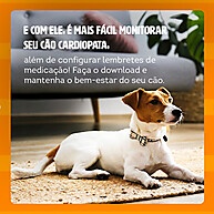 Cardalis 2,5mg/20mg – Tratamento Cardíaco para Cães 5 a 10kg - imagem 2