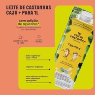 Bebida Vegetal A Tal da Castanha Caju e Pará - Kit com 12 unidades (12L) - imagem 5