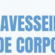 Travesseiro Xuxão Gigante: Conforto Total 1,40m - imagem 2