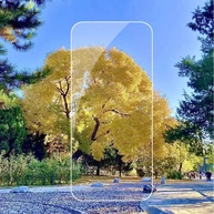 Película Xiaomi 15: Proteção Total e Transparente - imagem 2