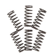 Tusk Conjunto de Molas de Embreagem Reforçadas para Suzuki RM250 (1997-2005) - Performance Superior - imagem 3