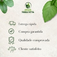 Canjica Branca 1Kg - imagem 4