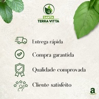 Granola Tradicional - Terra Vitta (1Kg) - imagem 4