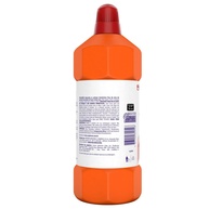 Lysoform Bruto: Kit 2 Desinfetantes 1L - imagem 2