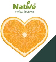 Suco de Laranja Orgânico Native 1L - imagem 4