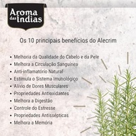Aromas da Índia Alecrim 20 Gramas - imagem 4