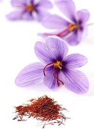 Saffron Crocus 20 bulbos - imagem 3