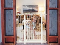 20-e-seu-plus-para-para-caes-pet-liberdade-tubline-grade-seguranca-a