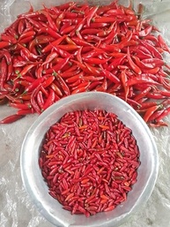 Pimenta em Conserva Natural do Norte de Minas Gerais 200ml - imagem 2