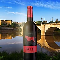 2020-vinho-sabor-750ml-tinto-espanhol-belo-tempranillo