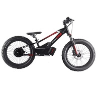Bike Elétrica 2025: Aventura Off-Road! - imagem 2