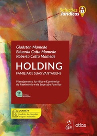 Holding Familiar: Guia Completo e Vantagens - Edição 2025 - imagem 1