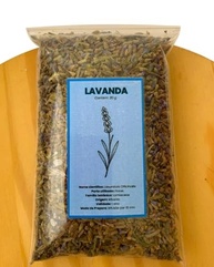 Lavanda (Alfazema Azul) - Lavandula Officinallis 20g - imagem 1