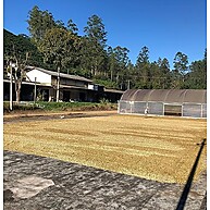 Café Black Tucano Single Origin 250g: Torra Especial - imagem 3
