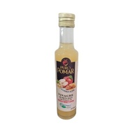 VINAGRE PURO POMAR MAÇÃ 250ML GENGIBRE E PROPOLIS - imagem 2