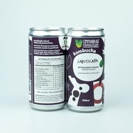 Kombucha de jabuticaba; gaseificação natural/lata 269 ml - imagem 2