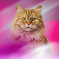 Patê Finotrato Gatos Carne: Kit com 3 Latas 280g - imagem 2