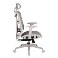 2d-cadeira-lombar-a-de-diana-com-ergonomica-apoio-dt3-escritorio-a