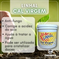 Cal Virgem Agrícola Culinário Linhal Original 2kg Não É 1kg - imagem 2
