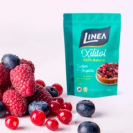 2x250g-kit-saude-com-adoce-linea-xilitol