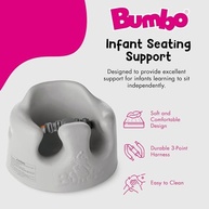 Cadeira Bumbo Cinza - Suporte Ergonômico e Conforto para Bebês de 3 a 12 Meses - imagem 5