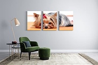 Kit 3 Quadros Decorativos Yorkshire - Cachorro Pet Dog em MDF A4 - imagem 3