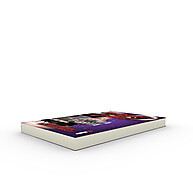 Livro A Última Porta - Série Five Nights At Freddy's Vol. 3 - imagem 2