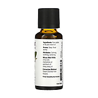 Óleo de Néroli Now Foods: Relaxamento em 30ml - imagem 2