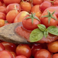 Kit 2 Molho De Tomate E Manjericão Orgânico 330g Sem Conservantes - imagem 2