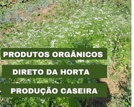 Tempero Caseiro Kit com 2 Temperos Completo Orgânico e Livre de Agrotóxicos 350g cada - imagem 3