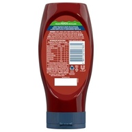 Hellmann´s Ketchup 380g - imagem 4