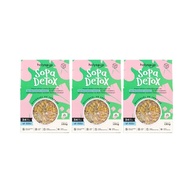 Kit 3X: Sopa Detox Sem Glúten Holysoup 130g - imagem 2