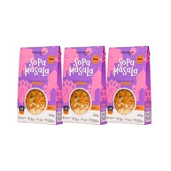 Kit 3X: Sopa Masala Holysoup 140g - imagem 2