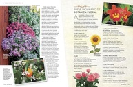 436-flores-jardim-e-a-edicao-revista-encantar-casa-para-natureza-sua-a