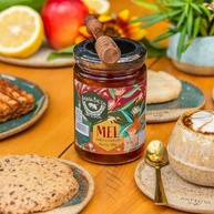 Mel Puro de Eucalipto 450g Mel Abelha 100% Natural Dona Beia - imagem 3
