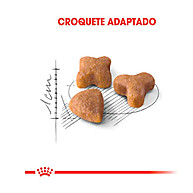 Royal Canin Sensible Gatos: Saúde Digestiva em 4kg - imagem 2