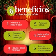 Kit 5 Molhos De Pimenta Sem Glúten Sem Lactose Sabores Jalapeño Malagueta Bode Com Pequi Trindad Scorpion Carolina Reaper D’Fazenda - imagem 5