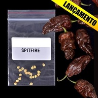 15 Sementes + 5 Sementes = 20 Sementes Spitfire - imagem 3