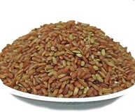 ARROZ INTEGRAL VERMELHO (GRANEL 500G) - imagem 1