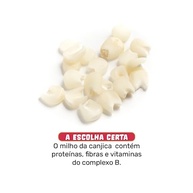Canjica Broto Legal 500g - imagem 3