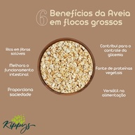Aveia em Flocos grossos - SEM GLÚTEN - livre de contaminação cruzada - 500g - imagem 5