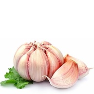 Alho em Pó Premium 500g Sabor Intenso para Sua Cozinha! - imagem 3